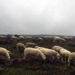 posbank wandelen 123posbank