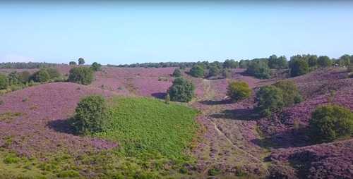 Herikhuizerveld Posbank
