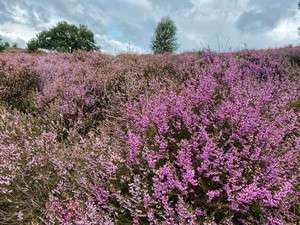 Social media en Posbank wandelen 2 Social media en Posbank wandelen 1